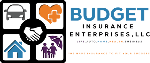 Budget Insurance Enterprises LLC